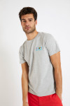 T-shirt à manches courtes gris TSMC BRODFLAG