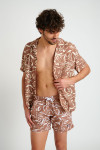Chemise marron STEFANO VENETO - 2