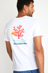 T shirt YANN CORAL blanc - 3