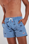 Short de Bain rayure Marine - Broderie Requin SWIMSHORT SHARK - 1